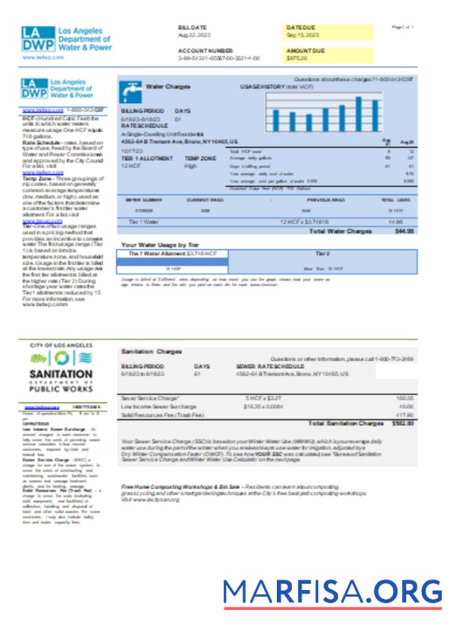Downloadable LA DWP utility business bill, SCR template